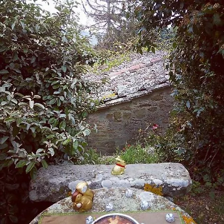 Holiday home Casariri Cortona